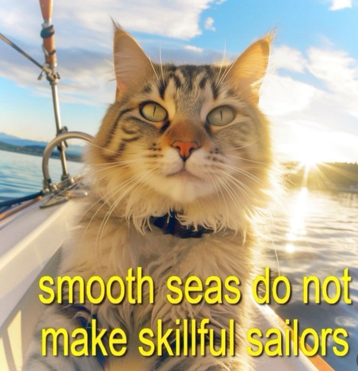 A long-haired tabby cat sitting up on a sailboat in bright sun, captioned 'smooth seas do not make skillful sailors.'